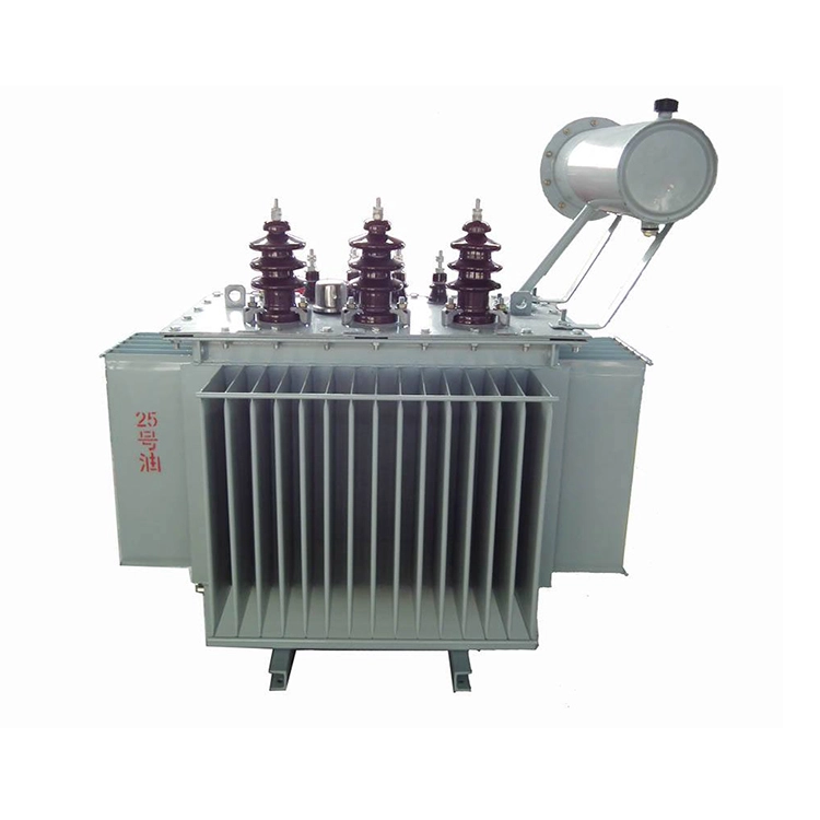 ນ້ຳມັນເຄື່ອງ 100 Kva 11 Kv Immered ONAN Transformer